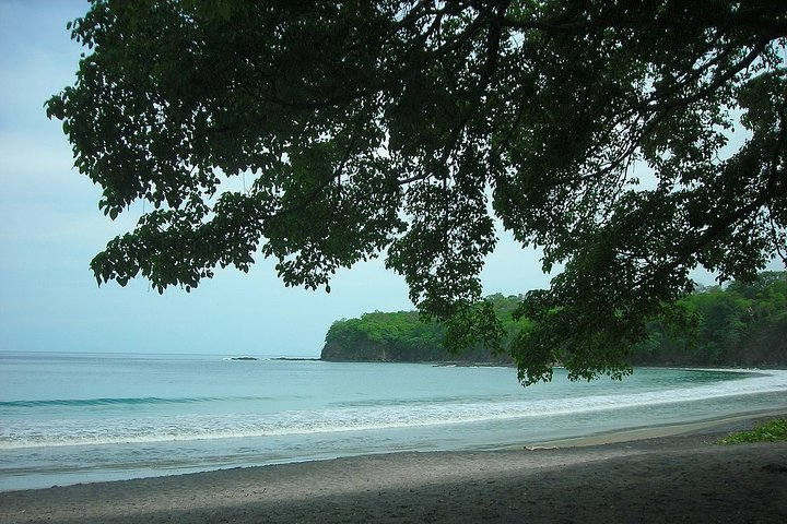 Travel safe and quiet in our transport that will provide you with safety and quality in every detail of your trip.